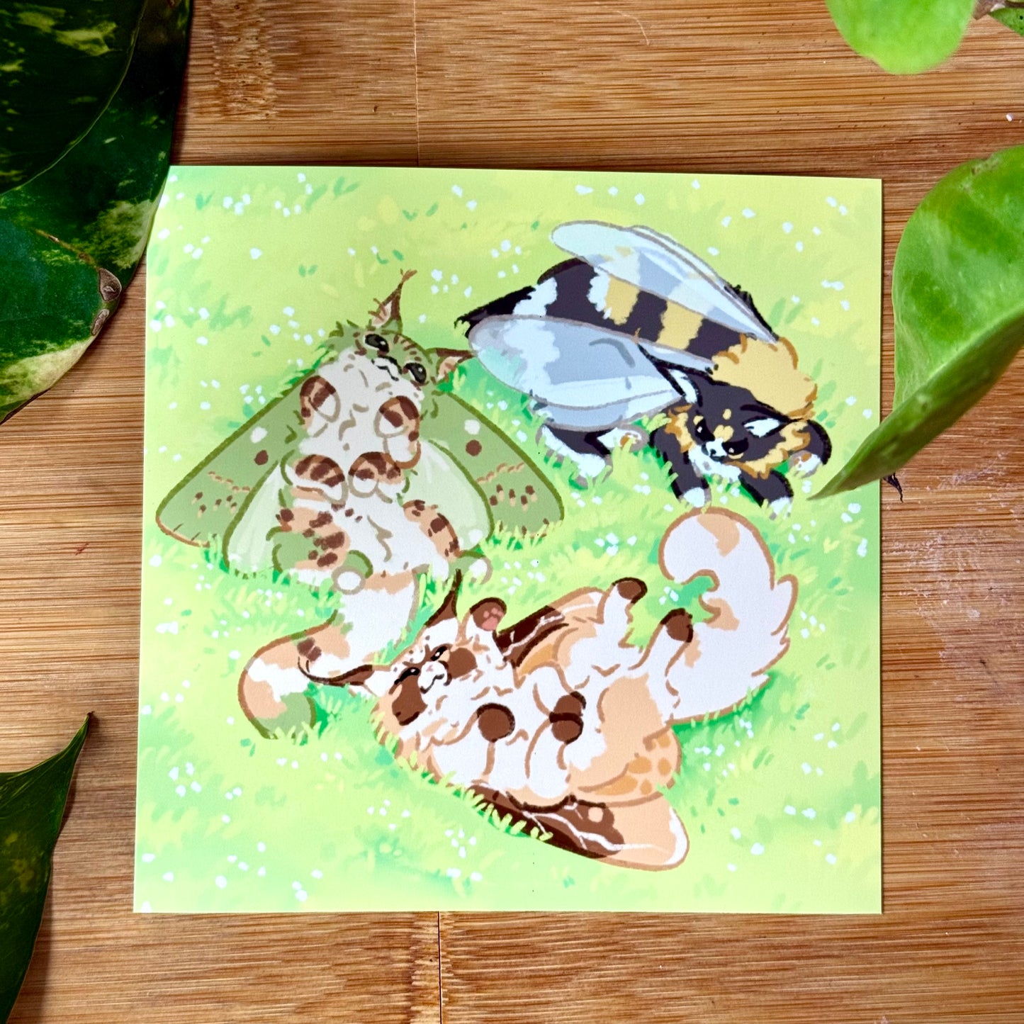Liko, Teemo, Toffi print