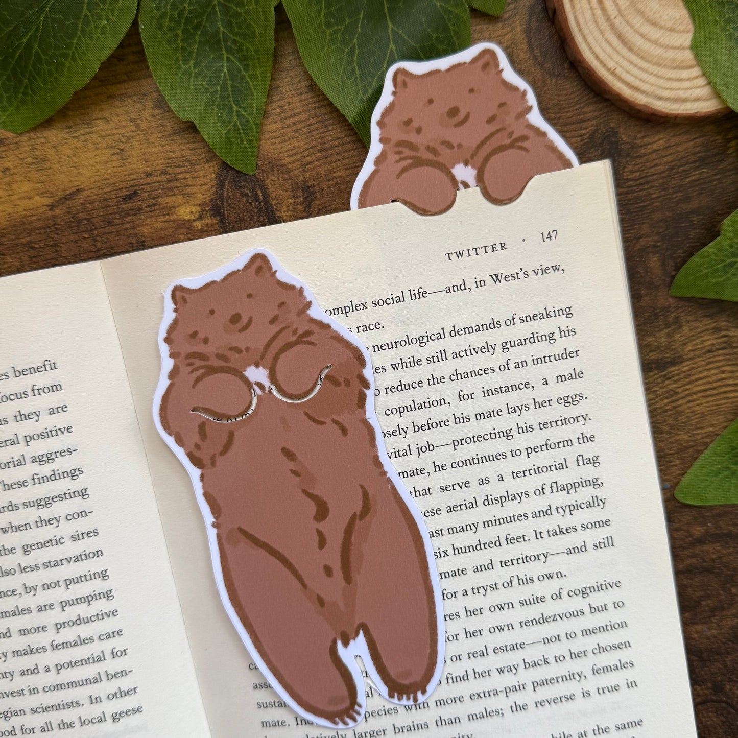 Mocha the Bear Bookmark