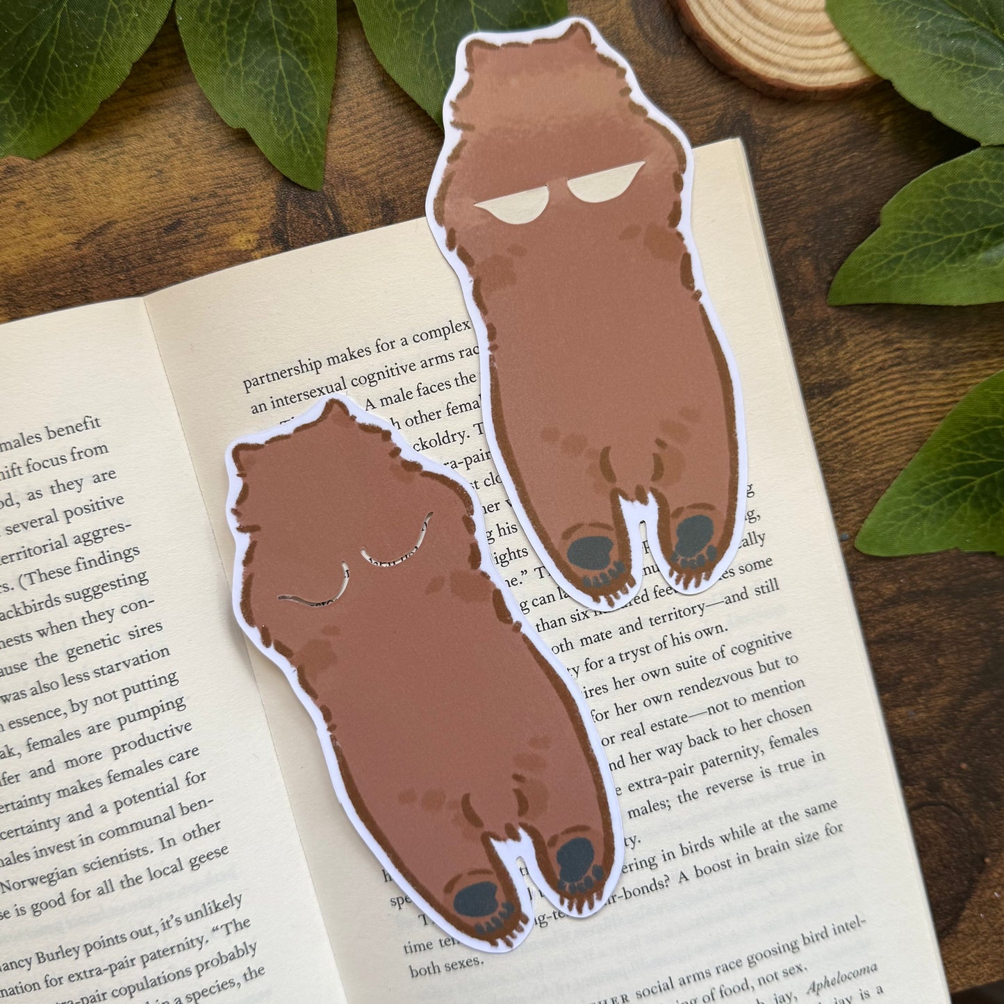 Mocha the Bear Bookmark