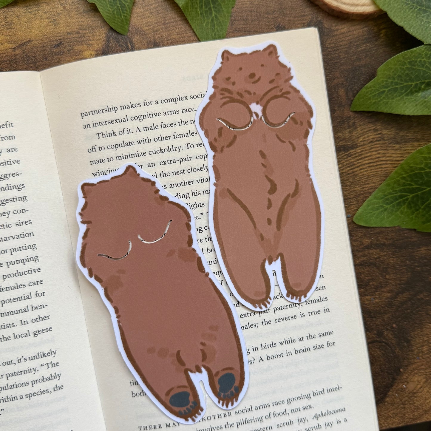 Mocha the Bear Bookmark