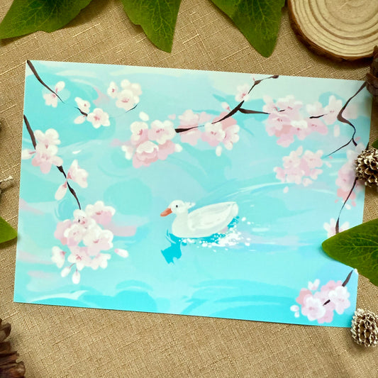 Duck Swimming Art Print