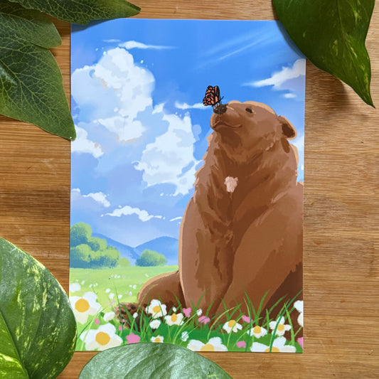 Mocha And Butterfly Art Print