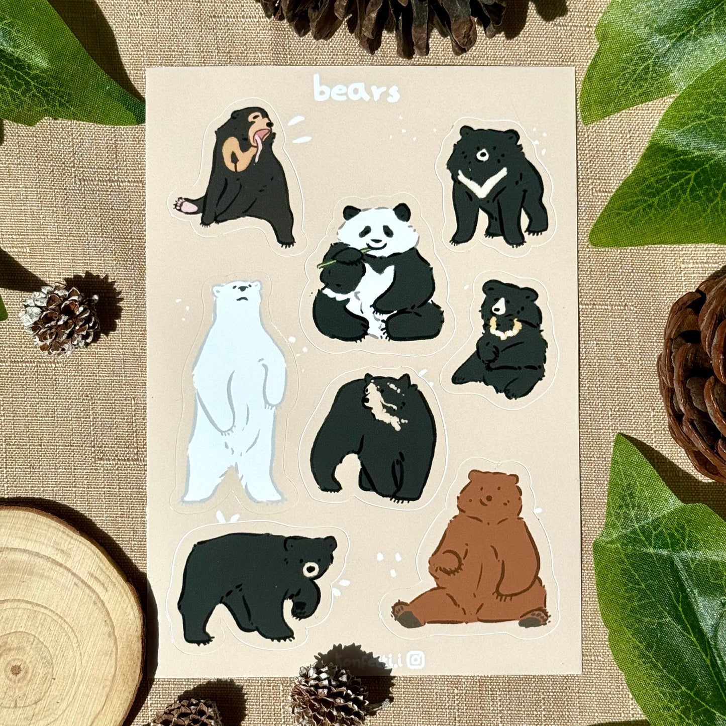 Bear Species Sticker Sheet