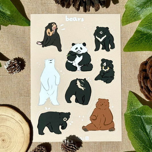 Bear Species Sticker Sheet