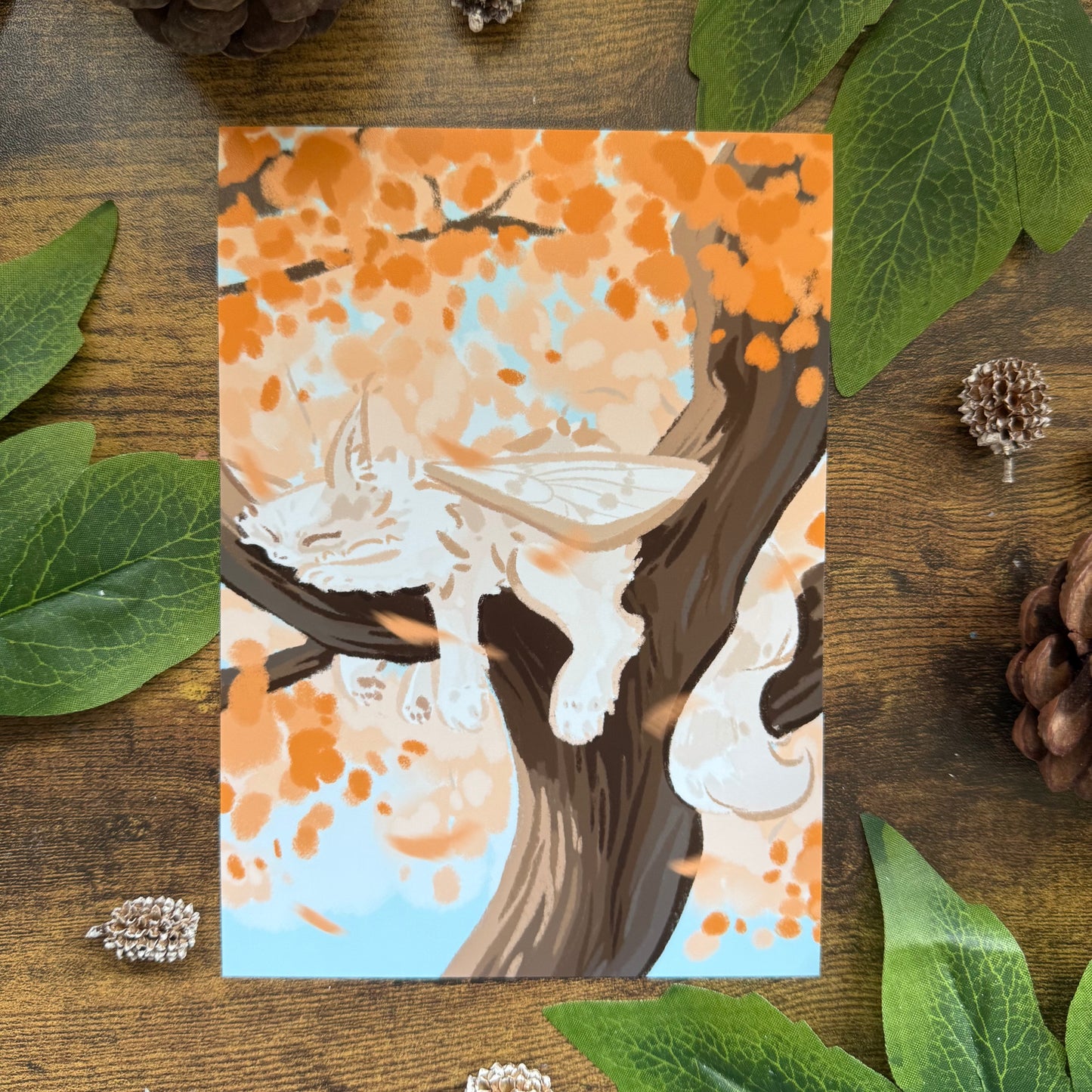 Mimi The Moth Cat Napping Art Print