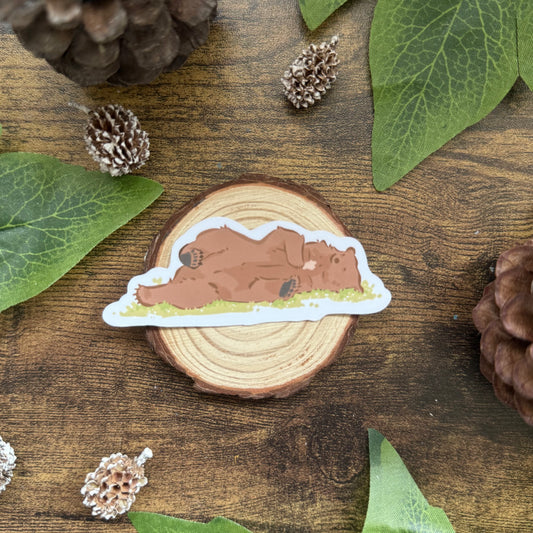 Mocha The Bear Sticker