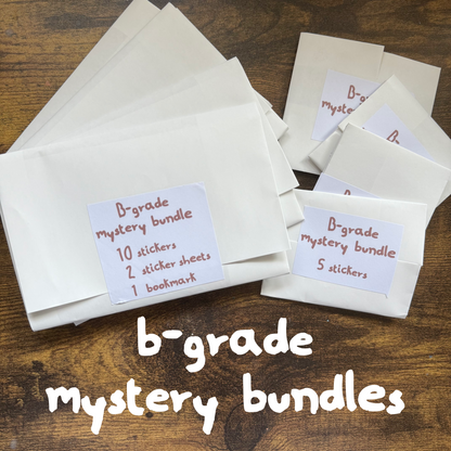 B-grade Mystery Bundles (imperfct products)