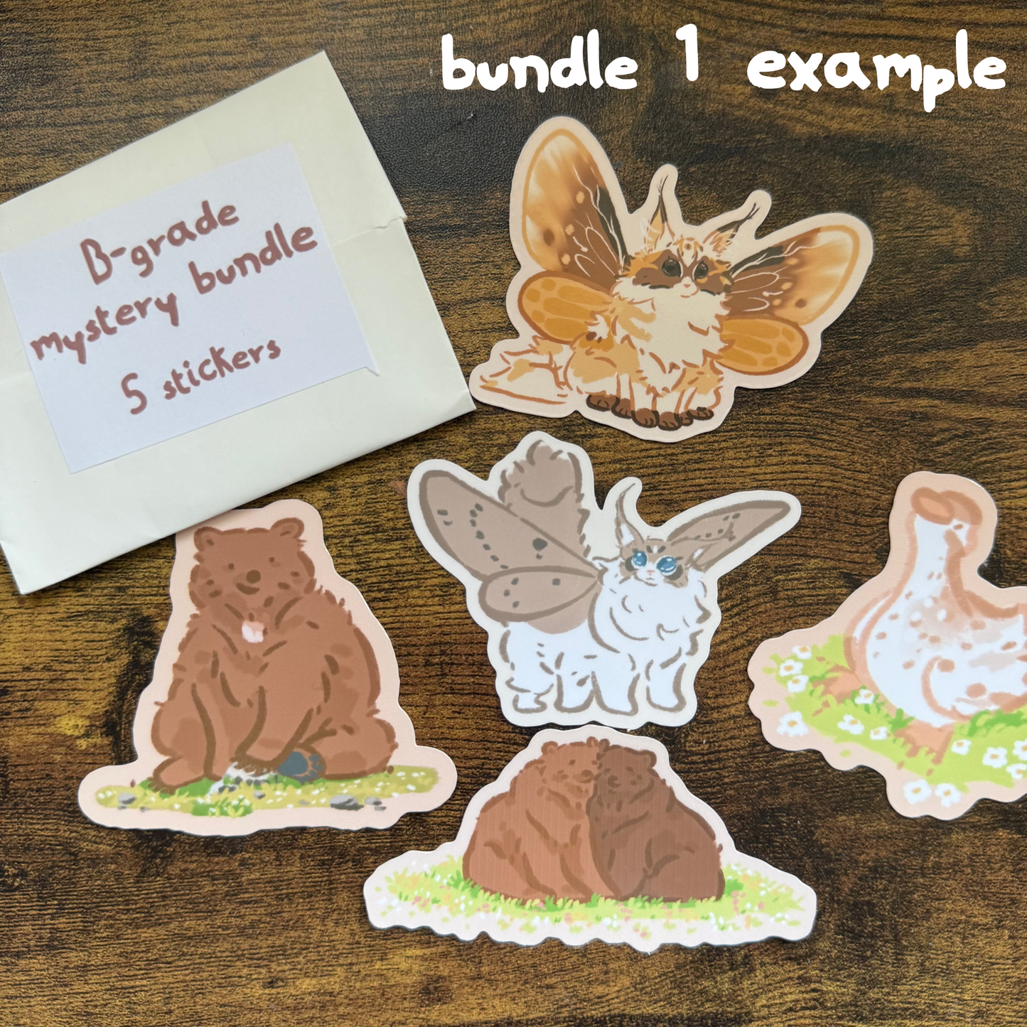 B-grade Mystery Bundles (imperfct products)