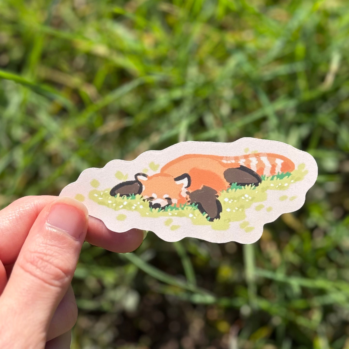 Red Panda on Grass Sticker