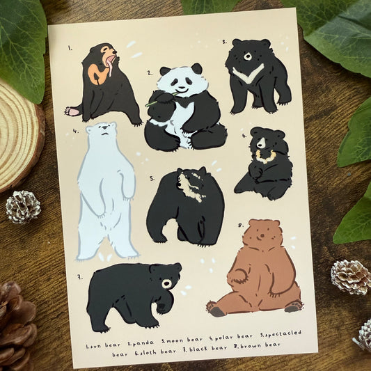 Bear Species Art Print