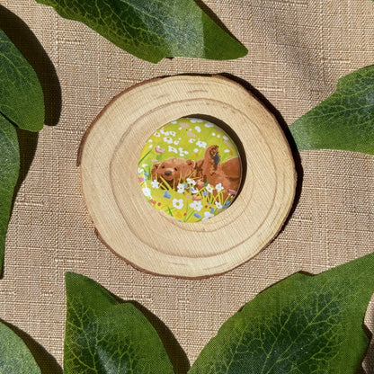Mocha In Flower Field Button Badge
